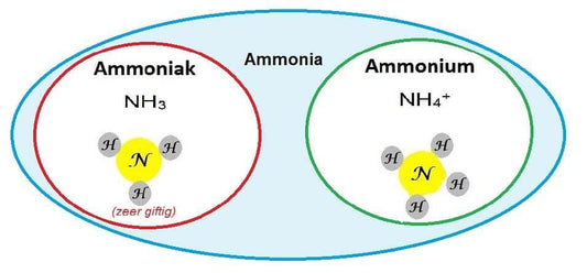 Ammonia Free Hair Color Side Effects And Benefits